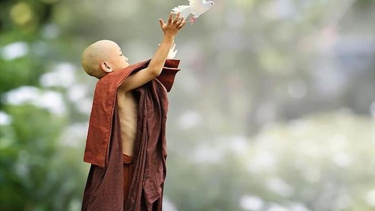 Lòng không ác ắt sẽ không khổ