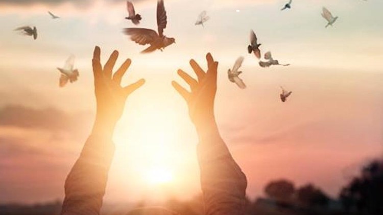 Con người cần có một trái tim độ lượng để biết thương yêu cuộc đời