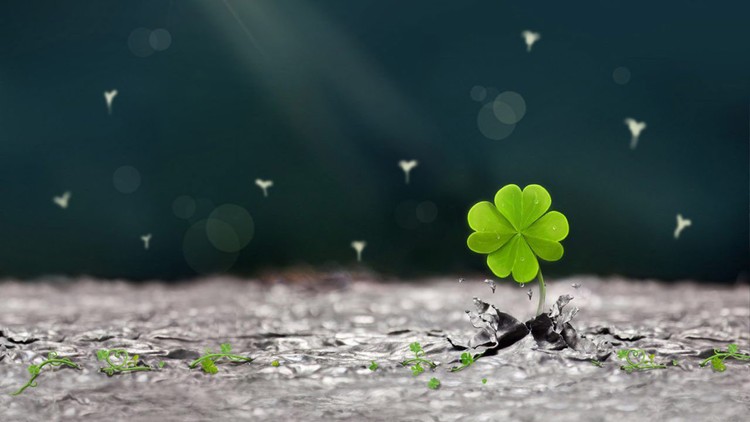 Hãy sống an vui mỗi ngày