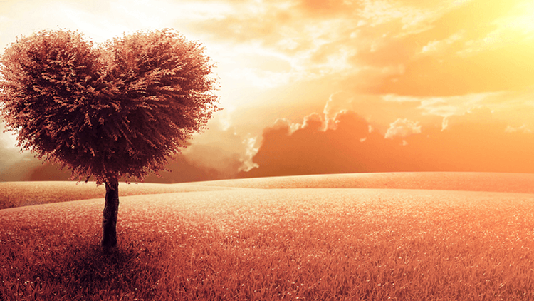 Thế nào là hạnh phúc thực sự theo quan điểm của Phật giáo?