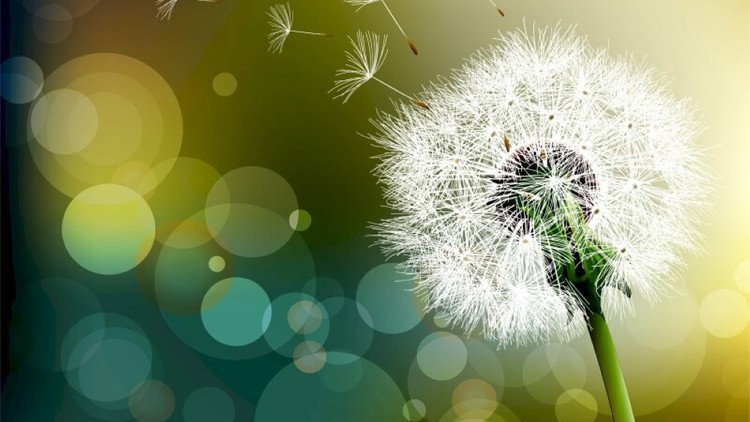 Phật đản nhớ Phật