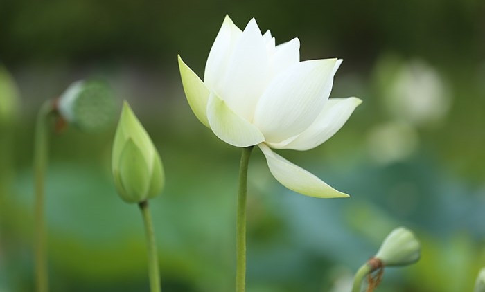 Có những ngày sống thôi đã là chuyện phi thường