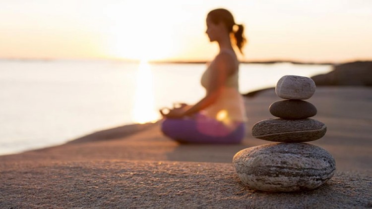 Quán chiếu sinh mệnh trong hơi thở