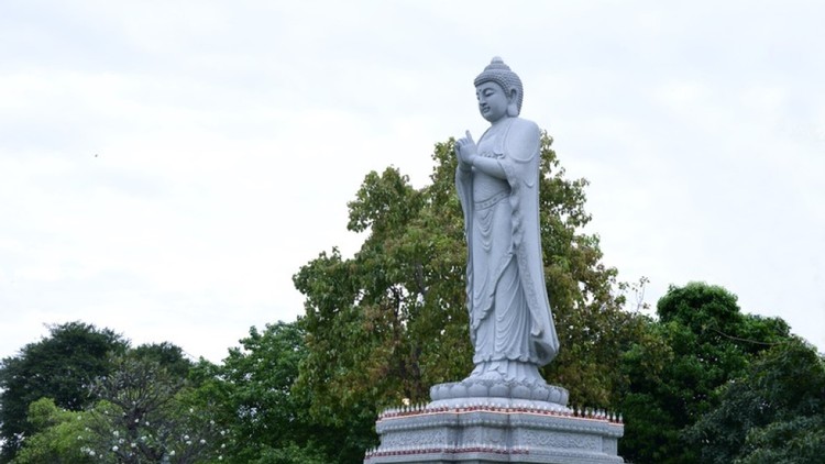 Tại sao phải tu Thiền ?