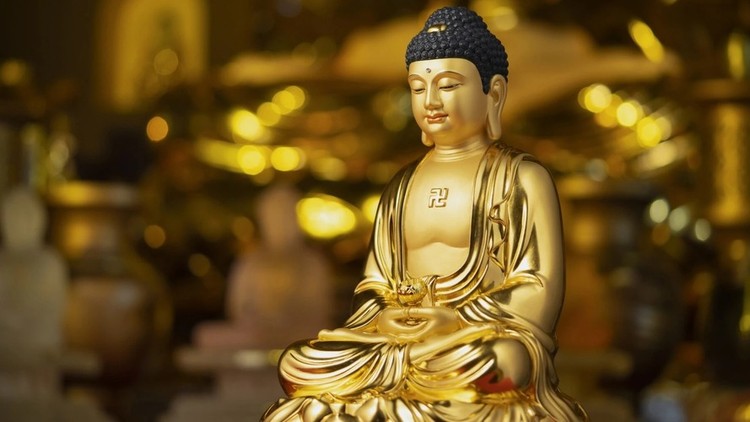 Tịnh độ giữa nhân gian