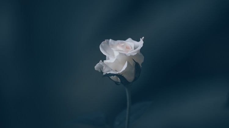 Tâm bình lặng thì cuộc đời sẽ bình an