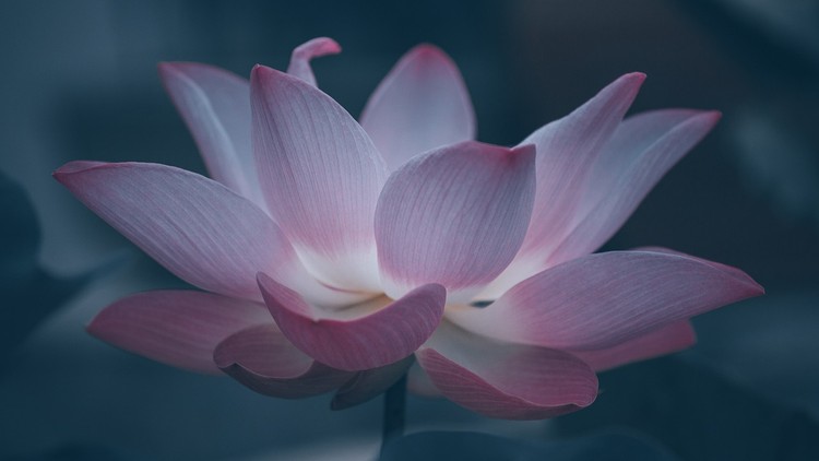 Mọi thứ từ nhân duyên do duyên mà có