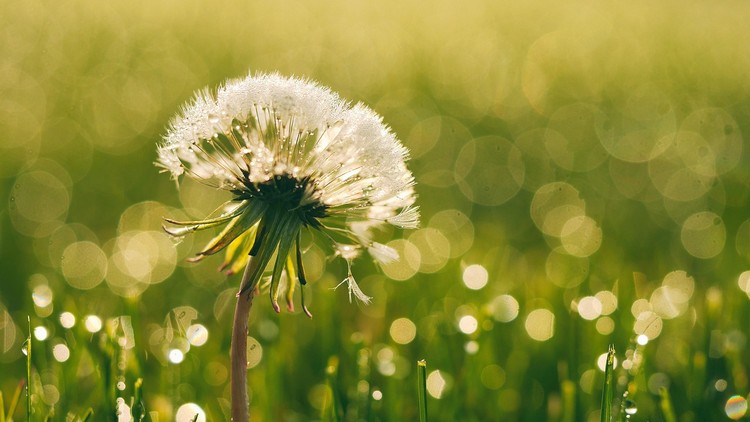 Hát mãi câu hát bình an