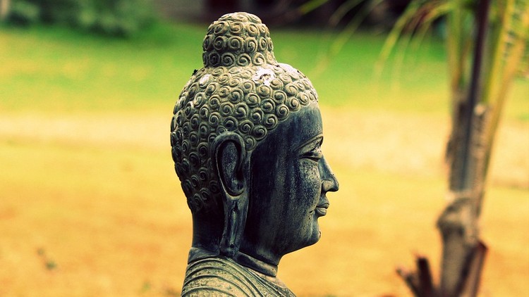 Xuân về tĩnh tâm, lặng lẽ thoát khổ