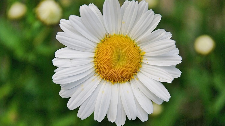 Thói quen cũ không tạo ra cuộc sống mới