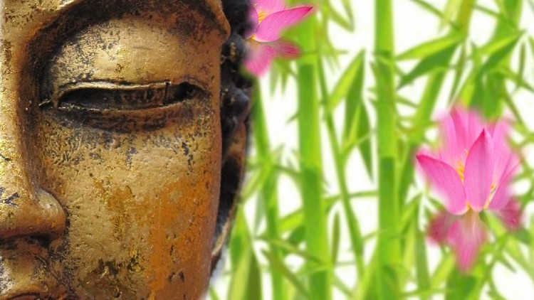 Tử sinh là trang kinh bình đẳng