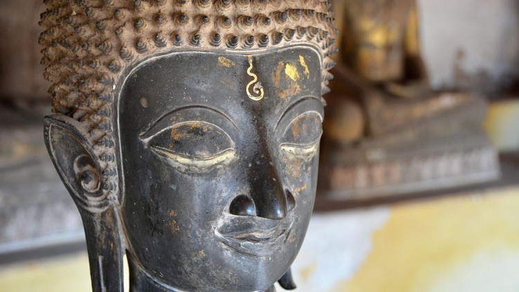 Phật dạy: “Thương kính và trân trọng thí chủ”