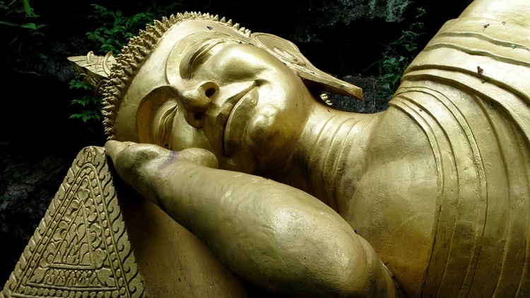 Tạo nghiệp sát sinh mất hết phước đức