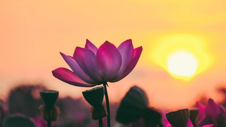 An trong cõi bất an