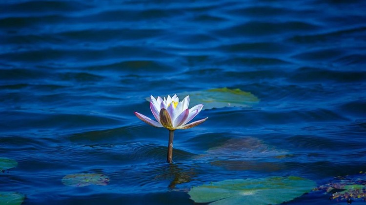 Dựa vào chính mình