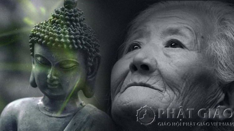 Hiếu nghĩa là phước đức