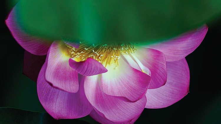 Không cần hoàn hảo