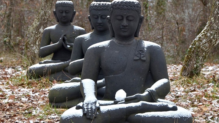 Vun bồi hạt giống chánh niệm