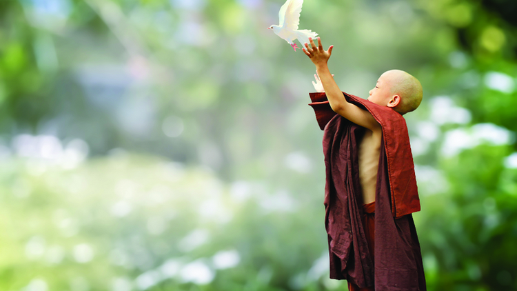 Tôn trọng và bảo vệ sự sống qua kinh Từ bi