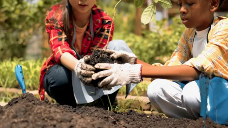 UNESCO ra mắt sáng kiến giáo dục xanh. Ảnh: MMD Creative/Shutterstock.com