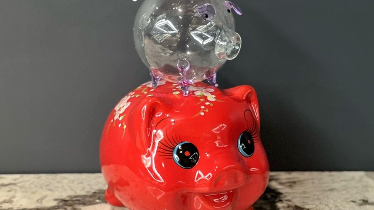 Giới trẻ Việt đua nhau nuôi heo đất và heo mini tích vàng 