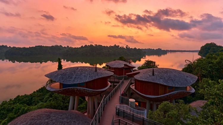 Mandai banyan tree resort