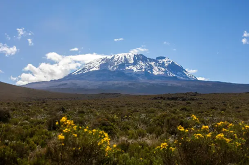 Kilimanjaro: UNESCO đầu tư 8 triệu USD để bảo vệ tài nguyên nước