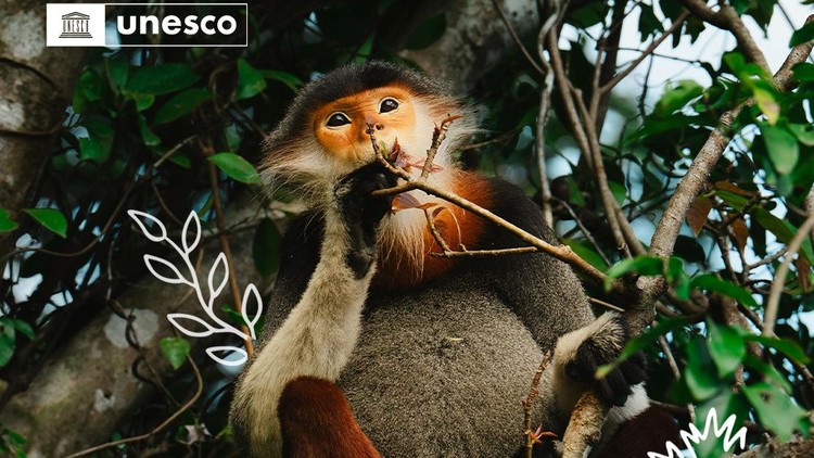 Ảnh: Phúc Phạm/Pexels