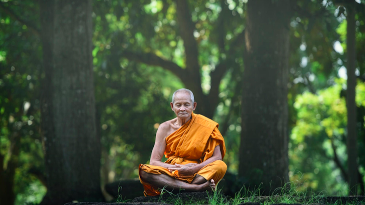 Giữ năm giới có đủ đảm bảo được tái sinh làm người?