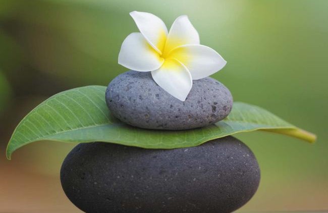 Hãy chăm sóc nhân tố thiện lành và bình an bên trong mình