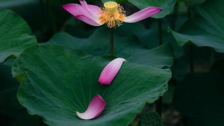 Tám quy tắc ngầm trong giao tế