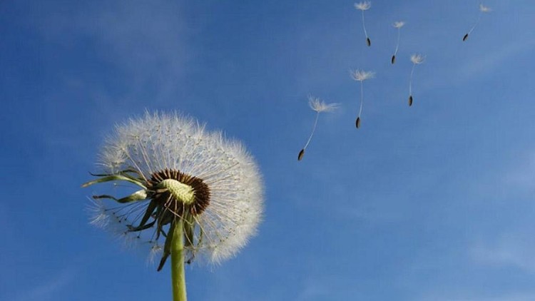 Hiểu về sự vô thường của cuộc đời để biết trân quý từng phút giây trong cuộc sống