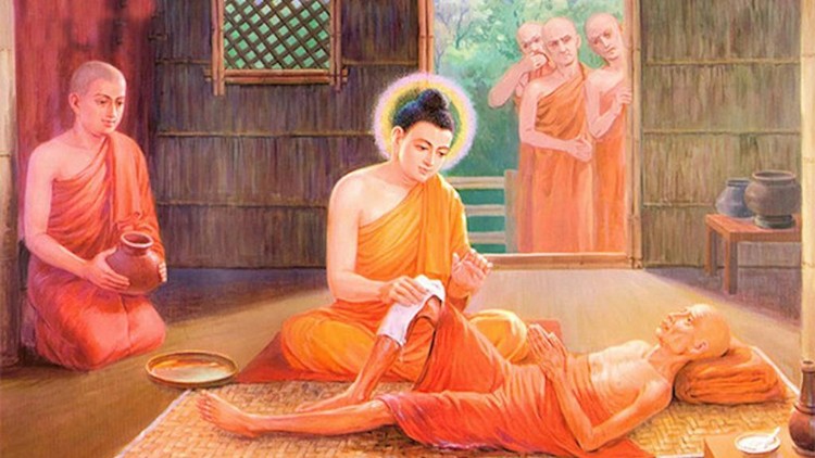 Thấm thía lời Phật dạy về việc chăm sóc người bệnh