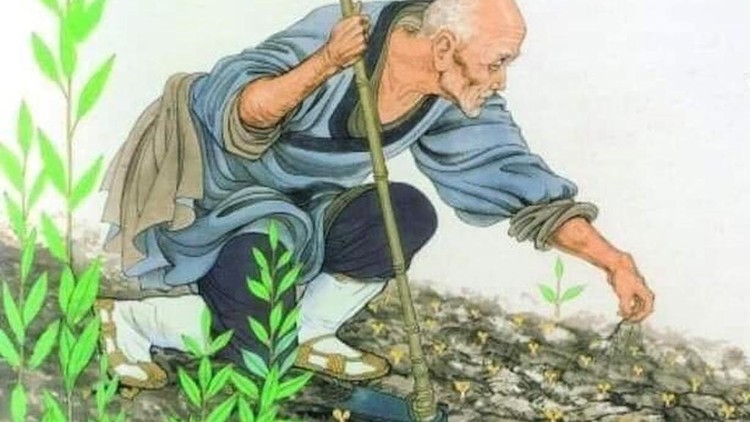 Tấm gương sáng ngời của Thiền sư Bá Trượng