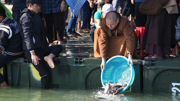 Nghệ An: Chùa Viên Quang phóng sinh 10 tấn cá xuống sông Lam