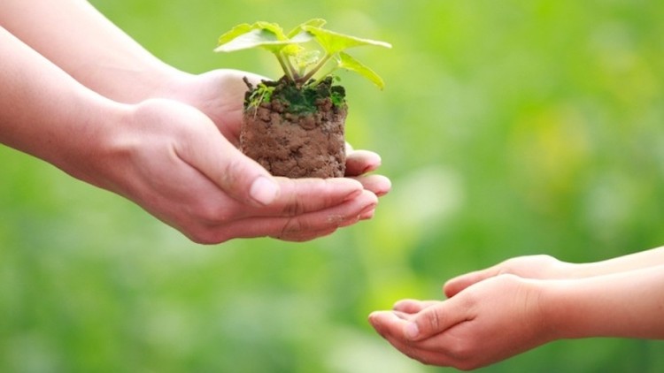 Hạnh phúc không phụ thuộc vào điều kiện bên ngoài