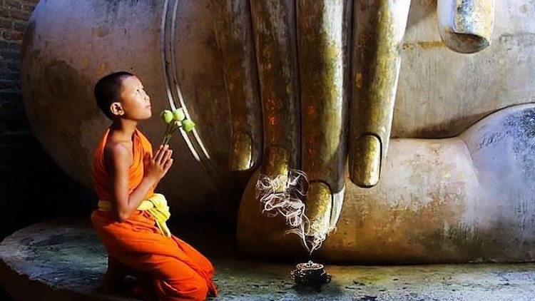 Lạy Phật với tâm thành kính thiết tha, lạy xong thì nguyện cho con được tiêu trừ các tội lỗi, nghiệp chướng trong quá khứ do vô minh ám chướng gây ra.