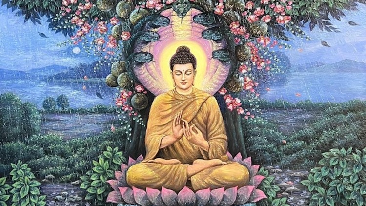 Sự nhẫn nại và lòng từ bi vô biên của Đức Phật