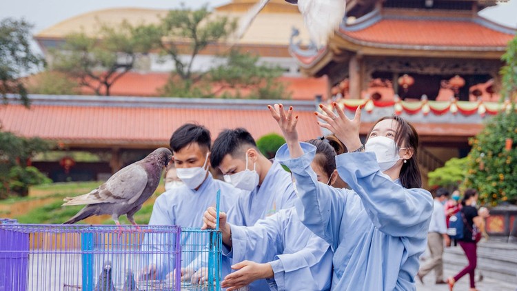 Phật tử thả chim phóng sinh tại một buổi lễ diễn ra tại chùa Ba Vàng, tỉnh Quảng Ninh. (Ảnh minh hoạ).