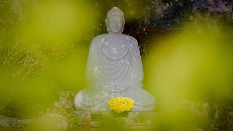 Người làm thiện nhiều nhưng tâm ngạo mạn vẫn đọa súc sinh