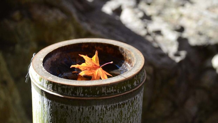 Đừng để tâm bất thiện xô ngã ta vào những nỗi đau dài