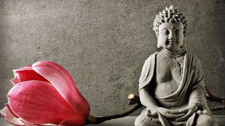 Tâm thành hướng Phật ắt được gặp Phật