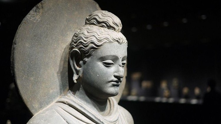 Ác dục và tà kiến gốc rễ của đấu tranh