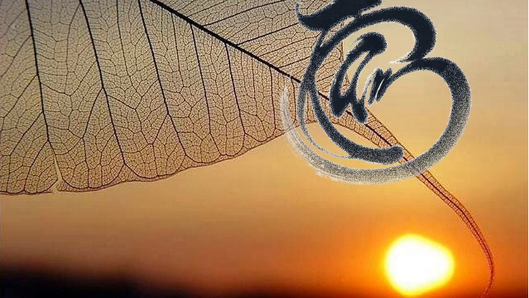 Tu tâm là thế nào? Tại sao phải tu tâm?