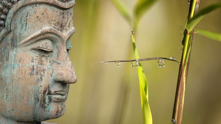 Nói ác khẩu bị đọa làm khỉ