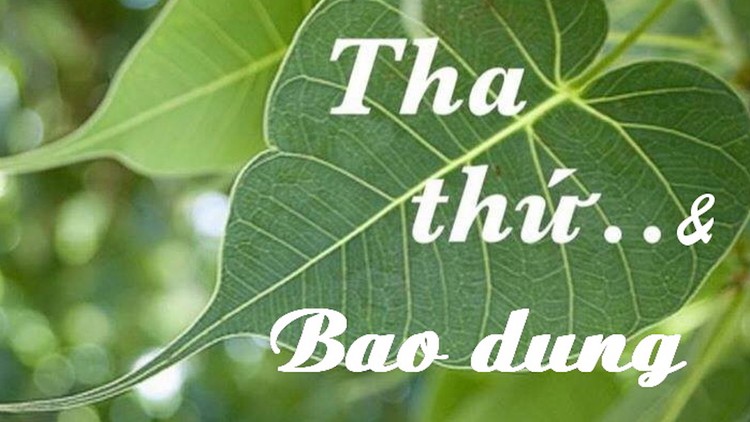 Sống biết tha thứ và bao dung