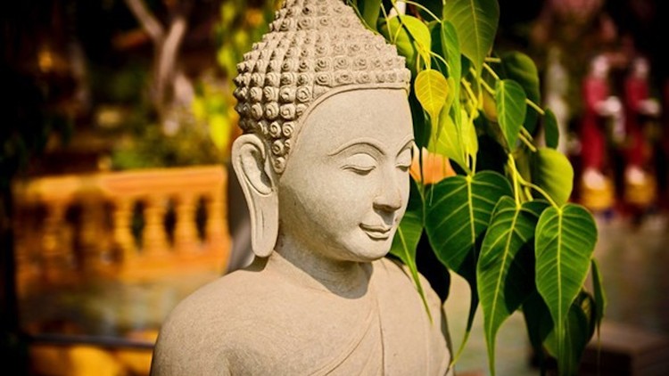 Gốc rễ của thiện và bất thiện