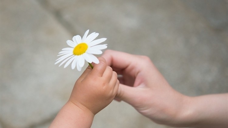 Lời nguyện tốt nhất mỗi buổi sáng chính là lời biết ơn