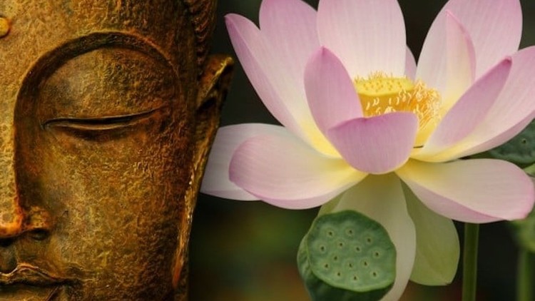 Lời Phật dạy: không đắm nhiễm thì sống vui