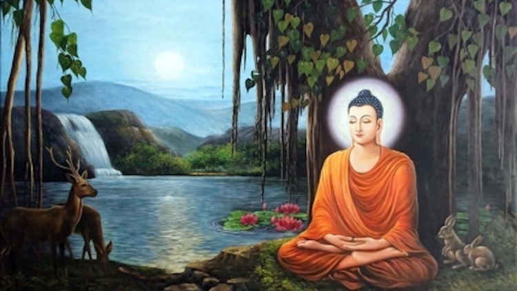 Thiền giúp chữa lành thân tâm